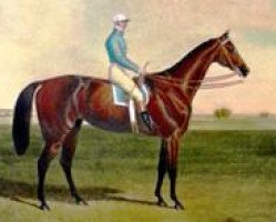 broodmare Crucifix xx (Thoroughbred, 1837, from Priam xx)