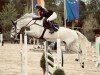 jumper Col's Dream W. (German Sport Horse, 2015, from Col's Cornet W)