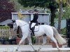 dressage horse Fugger Von Der Lilie (Oldenburg, 2011, from Fürst Fugger)