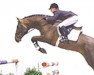 stallion Cosimo (Holsteiner, 1999, from Contender)