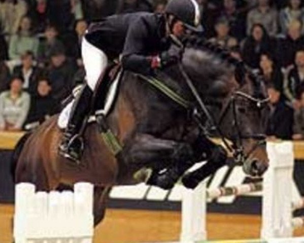 stallion Converter (Oldenburg, 2000, from Contender)