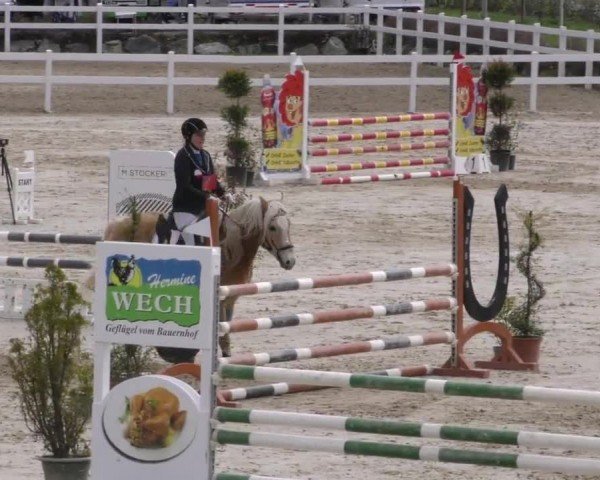 Reitturnier St. Margarethen-Stückler 2023