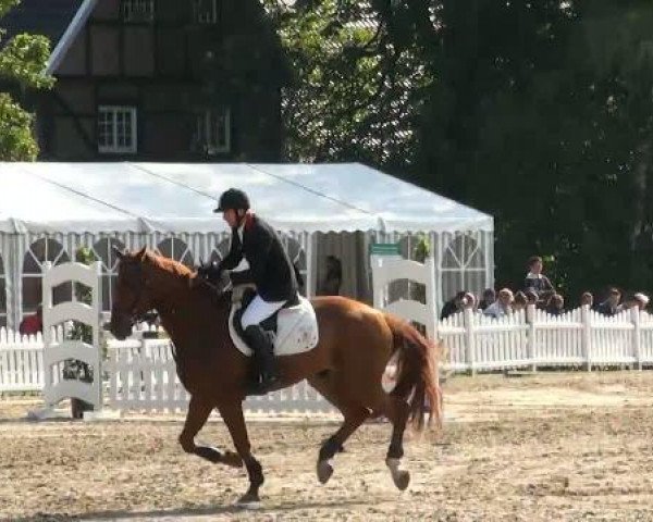 Münster-Angelmodde Dressur und Springturnier 2012