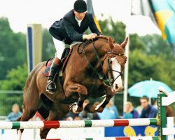 stallion Aldatus Z (Selle Français, 1985, from Aldato)