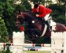 horse Rocket Star (Holsteiner, 1988, from Ramiro Z)