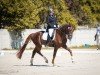 dressage horse Emilson (Hanoverian, 2019, from Escamillo)