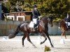 dressage horse Delgado 68 (German Sport Horse, 2013, from Decurio 3)