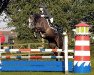 broodmare Söderhof's Rake (German Warmblood, 2003, from Rondo)