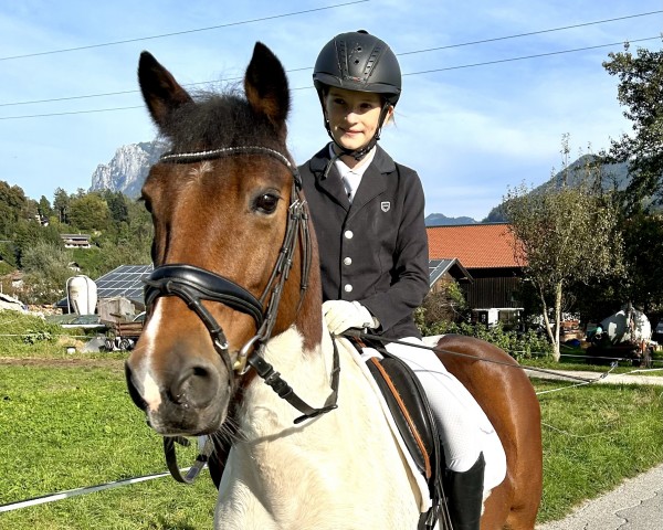 Dressurpferd Jump For Jolly (Österreichisches Reitpony, 2012)