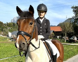 dressage horse Jump For Jolly (Austrian Reitpony, 2012)