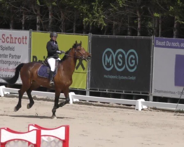 Reitturnier Preding 2023
