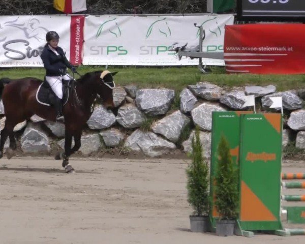 Reitturnier Preding 2023