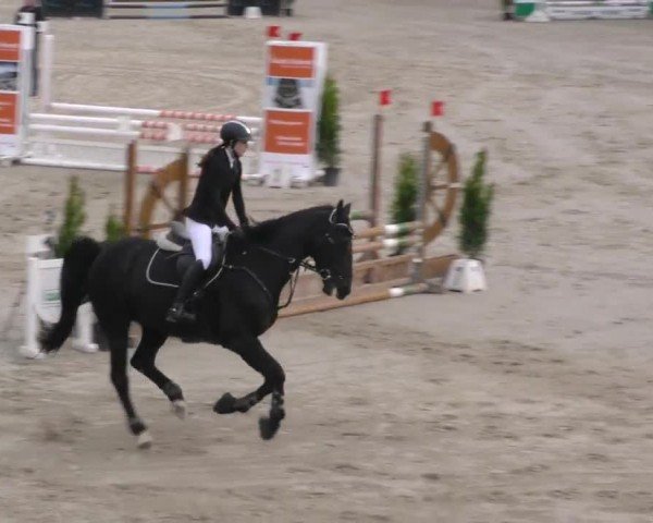 Reitturnier Preding 2023