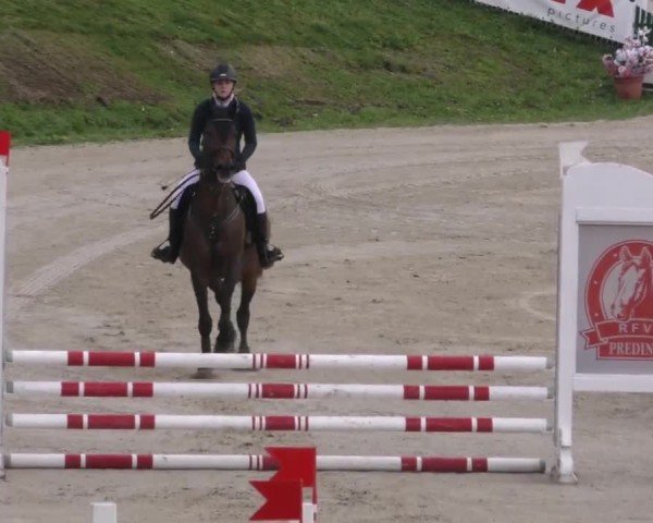 Reitturnier Preding 2023