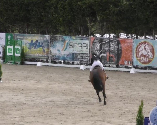 Reitturnier Preding 2023