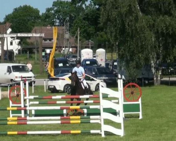 Ostenfelde-Vornholz  Dressur und Springturnier 2012