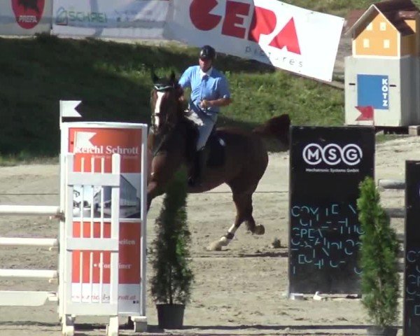 Reitturnier Preding 2023