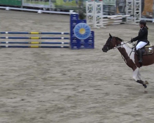 Reitturnier Preding 2023