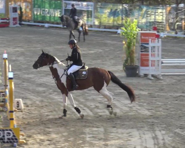 Reitturnier Preding 2023