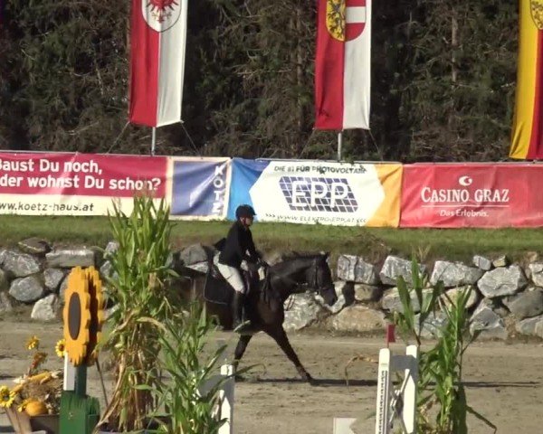 Reitturnier Preding 2023