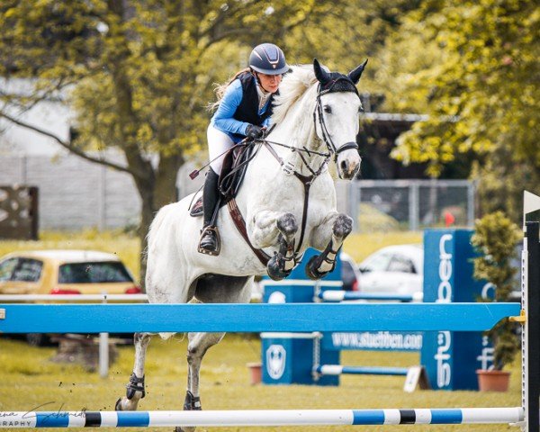 jumper Jody Rect SR (KWPN (Royal Dutch Sporthorse), 2014, from Dakar VDL)