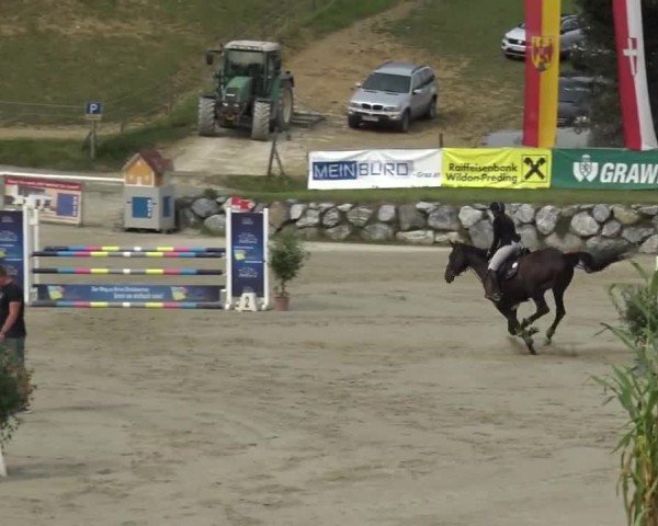 Reitturnier Preding 2023