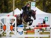 jumper Ogano's Lady K (Oldenburg show jumper, 2018, from Ogano)