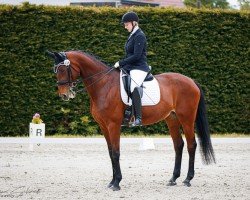 dressage horse Dinaja (German Sport Horse, 2011, from Dr. Jackson D)