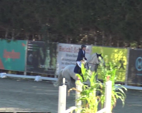 Reitturnier Preding 2023