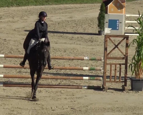 Reitturnier Preding 2023