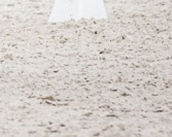 dressage horse Mansura (German Sport Horse, 2015, from Fürsten-Look)