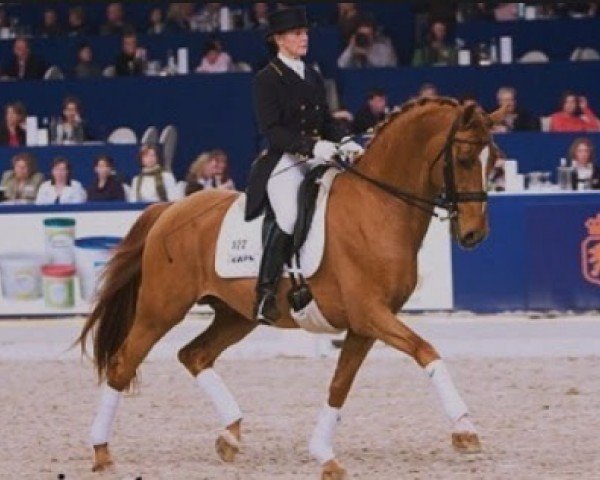 stallion Mooiman (KWPN (Royal Dutch Sporthorse), 1994, from Flemmingh)