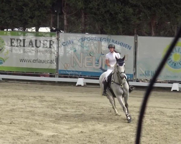 Reitturnier Preding 2023