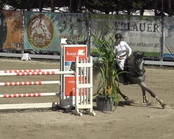 Reitturnier Preding 2023