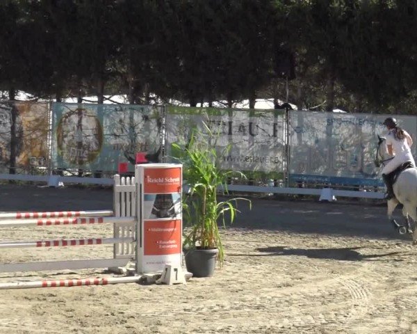 Reitturnier Preding 2023
