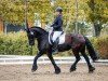 dressage horse Fiona 520 (Friese, 2007)