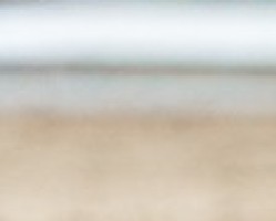 jumper Nala 160 (German Riding Pony, 2014, from Topolino)