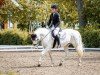 dressage horse Saskia 287 (Connemara Pony, 2011, from El Larry II)