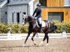 dressage horse Sissi Florestano (German Sport Horse, 2014, from San Florestano)