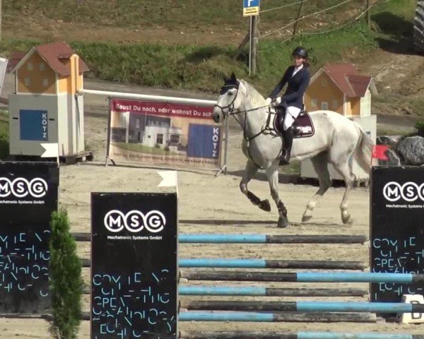 Reitturnier Preding 2023