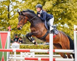 jumper Carla 259 (German Sport Horse, 2017, from Carleyle)