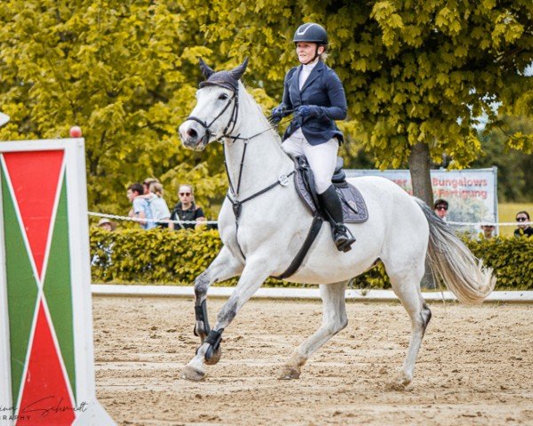 jumper Cassica 3 (Oldenburg show jumper, 2015, from Cassico)