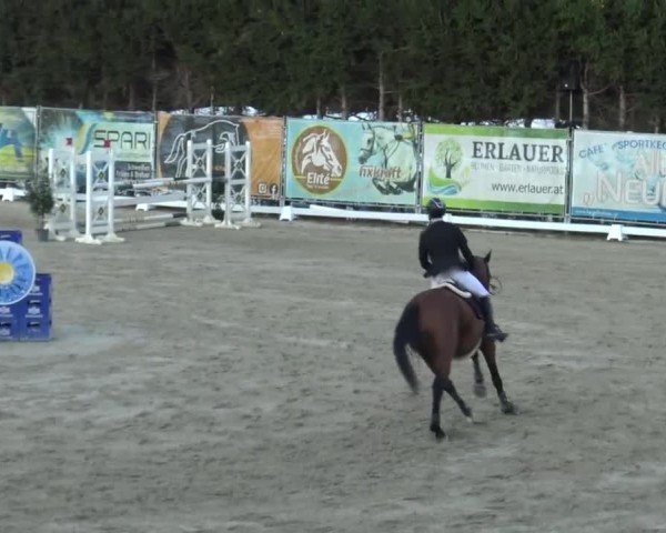 Reitturnier Preding 2023