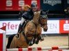 jumper Abea (German Sport Horse, 2013, from Abke 4)