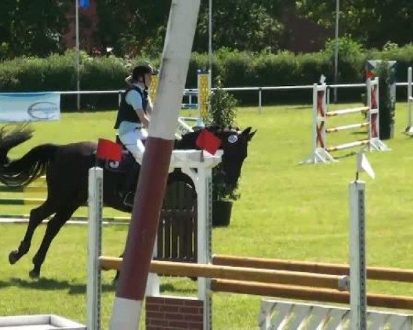 Ostenfelde-Vornholz  Dressur und Springturnier 2012
