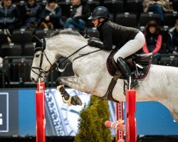 broodmare Centiralla PS (Oldenburg show jumper, 2016, from Centino du Ry)