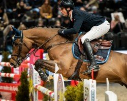 jumper Classe Pour Toi FRH (Hanoverian, 2016, from Conthargos)