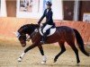 Springpferd Happy Oranjehof's Heart Beadin (Deutsches Reitpony, 2018, von Dance Star AT)