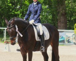 dressage horse Guy-Jin H (Oldenburg, 2010, from Goldfever II)