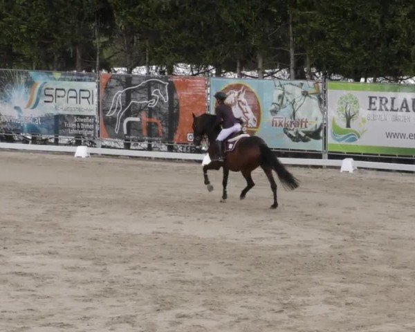 Reitturnier Preding 2023